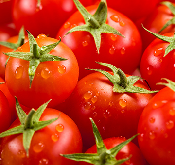 Tomaten uit Holland: Een Overzicht van Soorten en Kenmerken