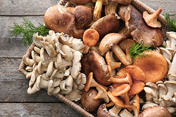 Wilde Paddenstoelen Seizoenskalender