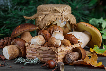 Eekhoorntjesbrood is de culinaire herfsttopper