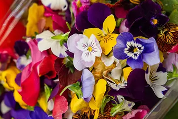 Kleurrijke Gerechten met Eetbare Bloemen