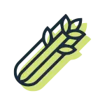 Selderij - Ja