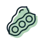 Soja - Ja