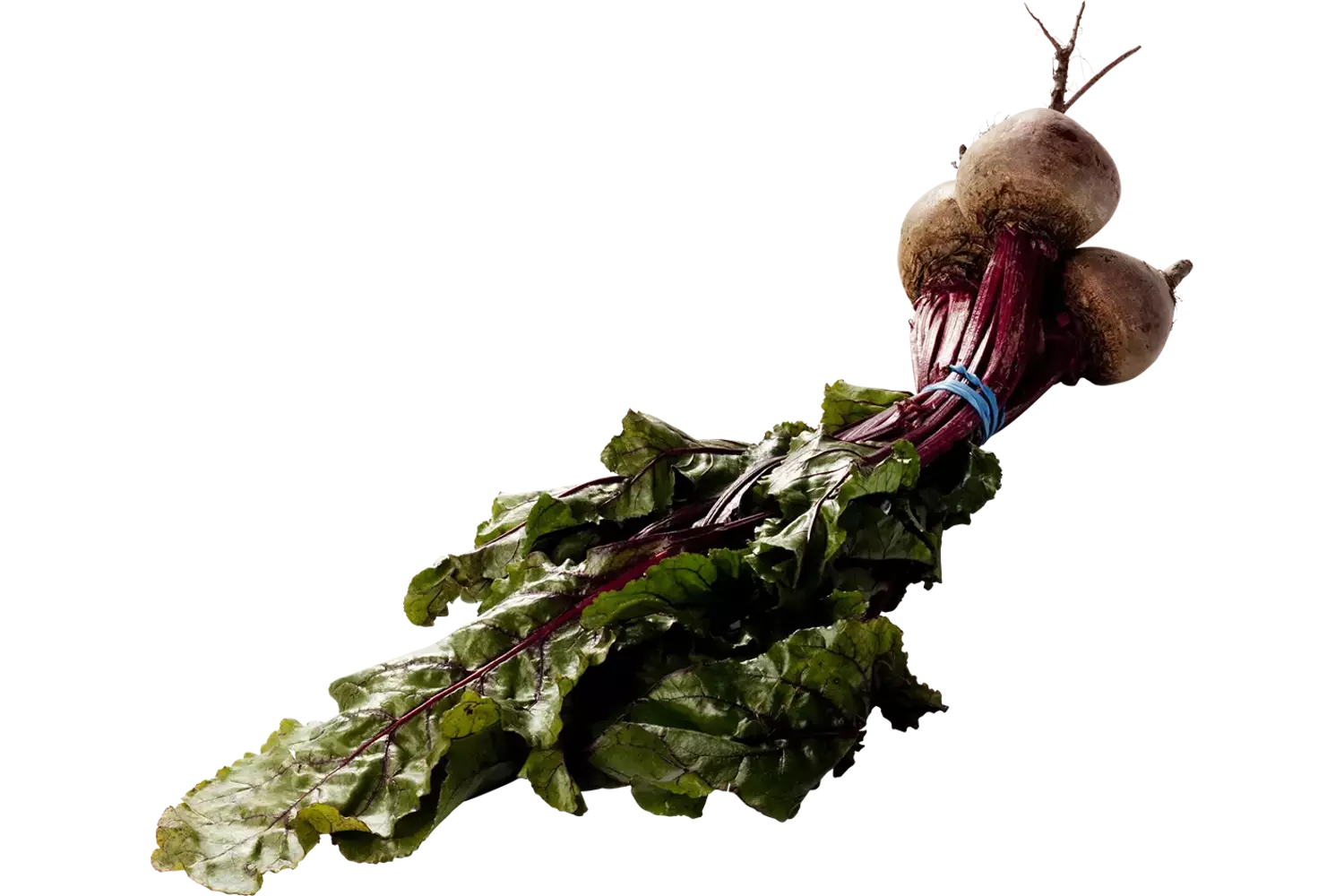 Wild beetroot crade 12 pieces