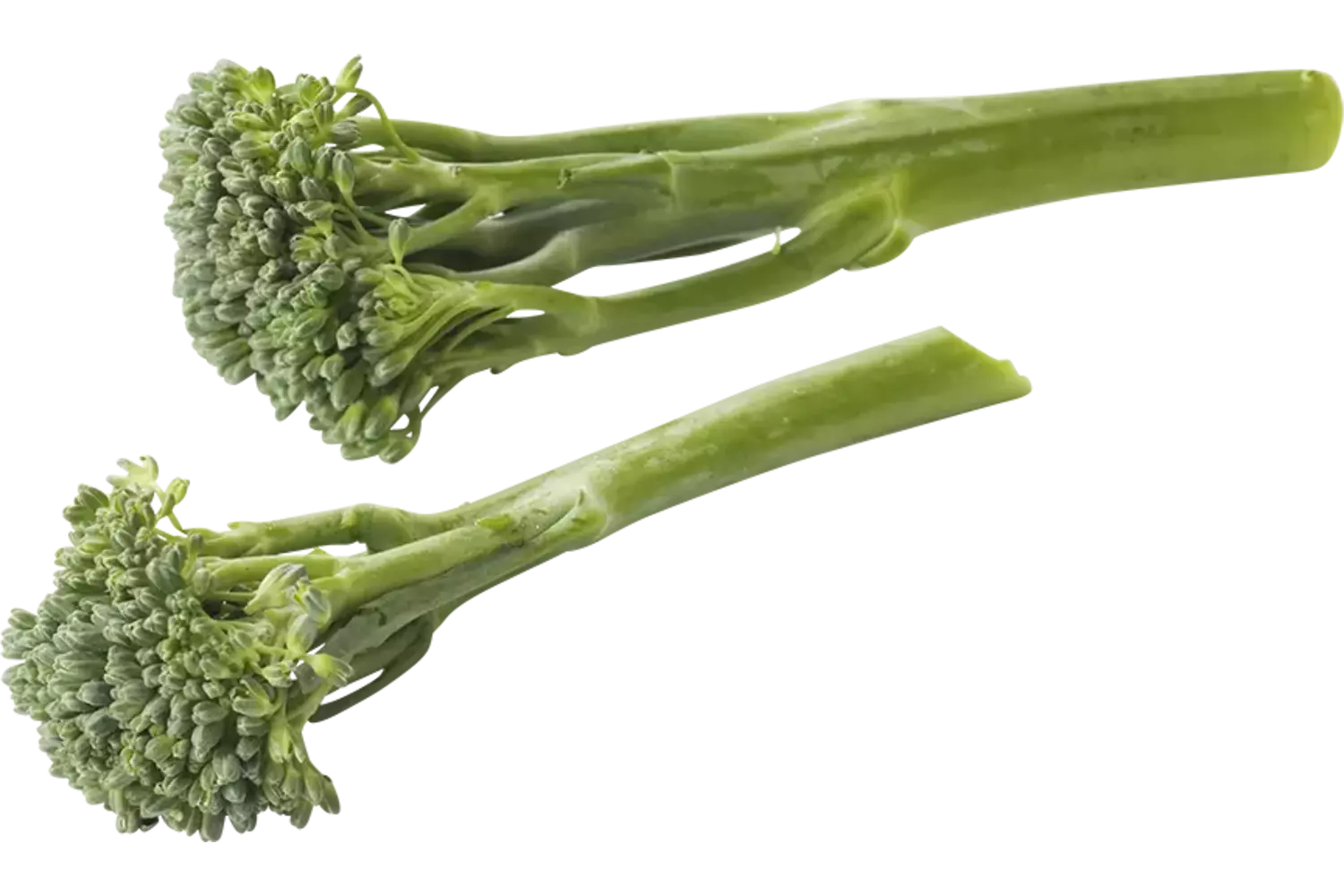 Brocoli taille 12 200g caisse 12pc