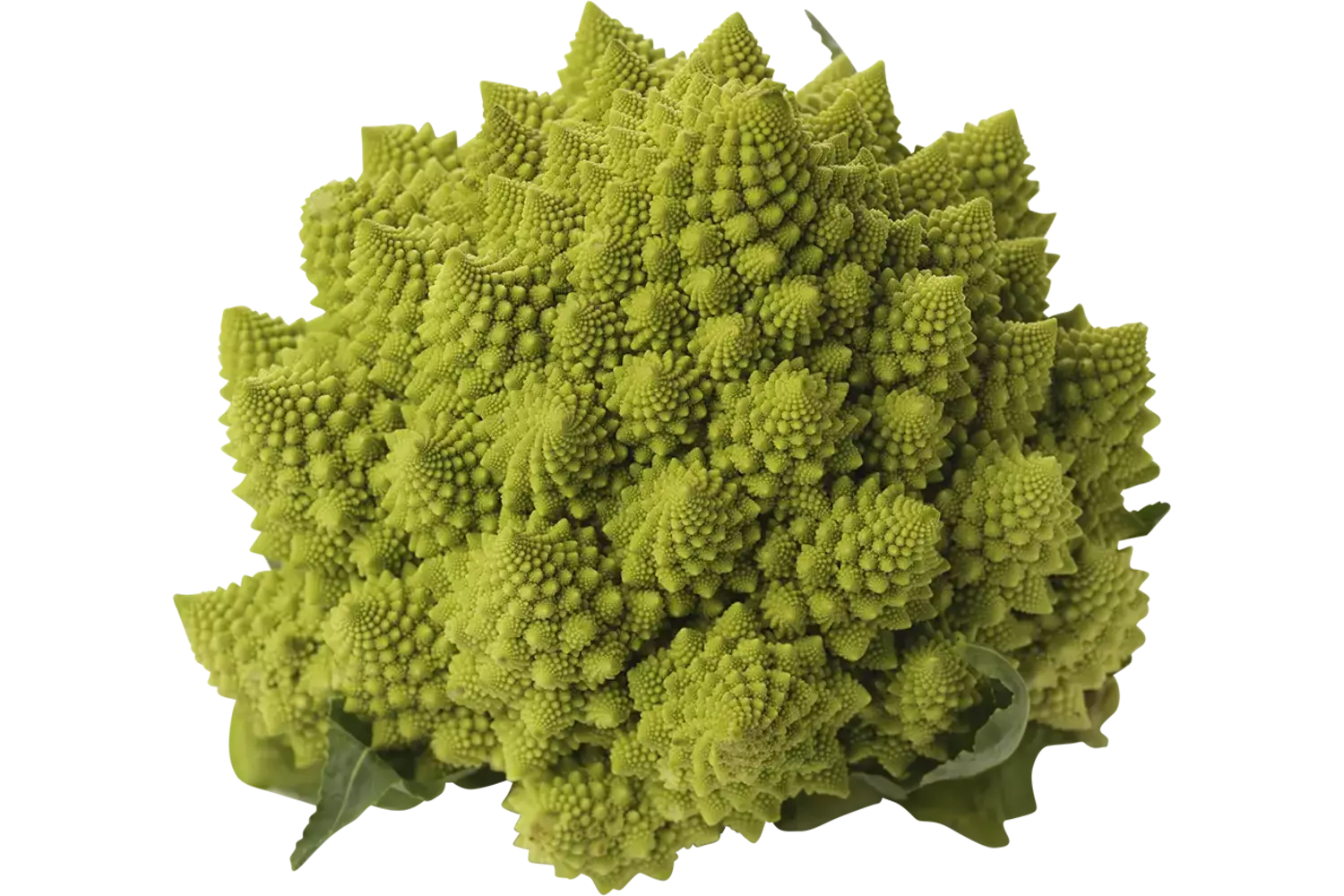 Chou-fleur romanesco pièce