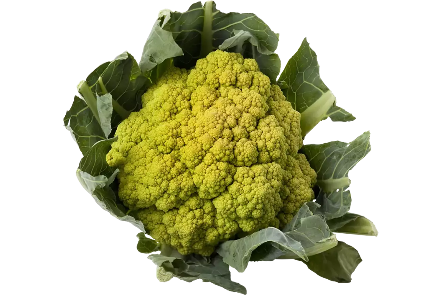 Chou-fleur vert caisse 6pc