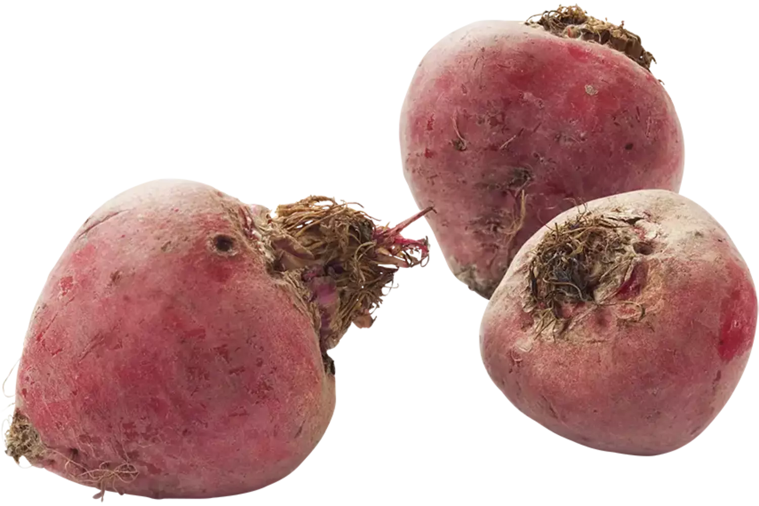 Betteraves chioggia caisse 5kg