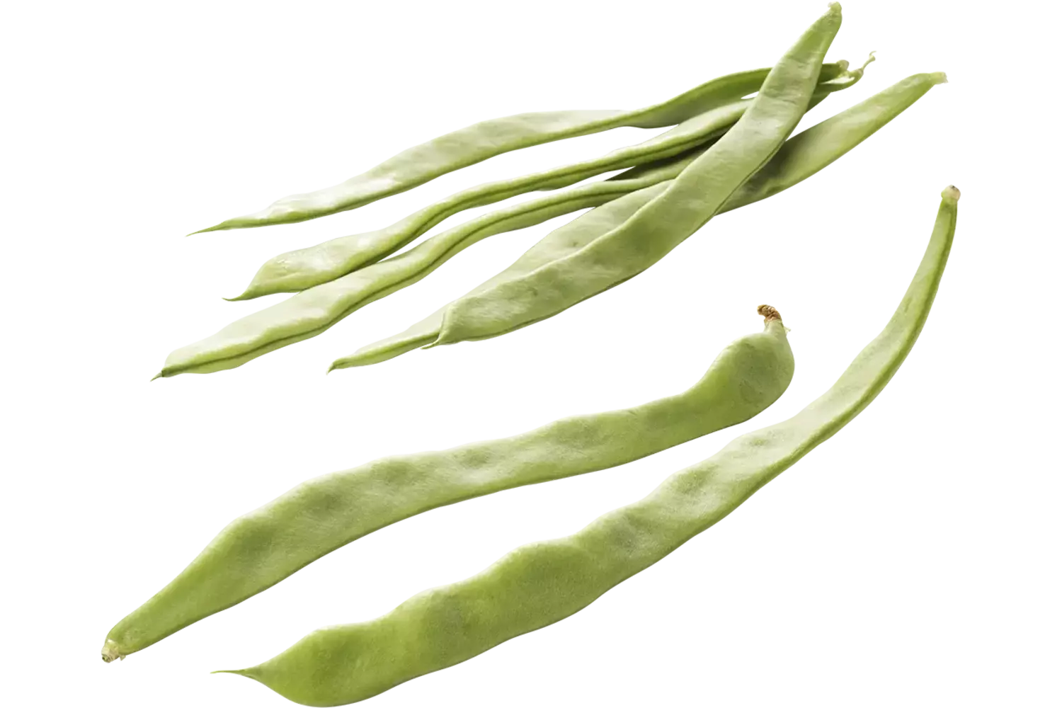 Snijbonen vuil verpakt 500gr