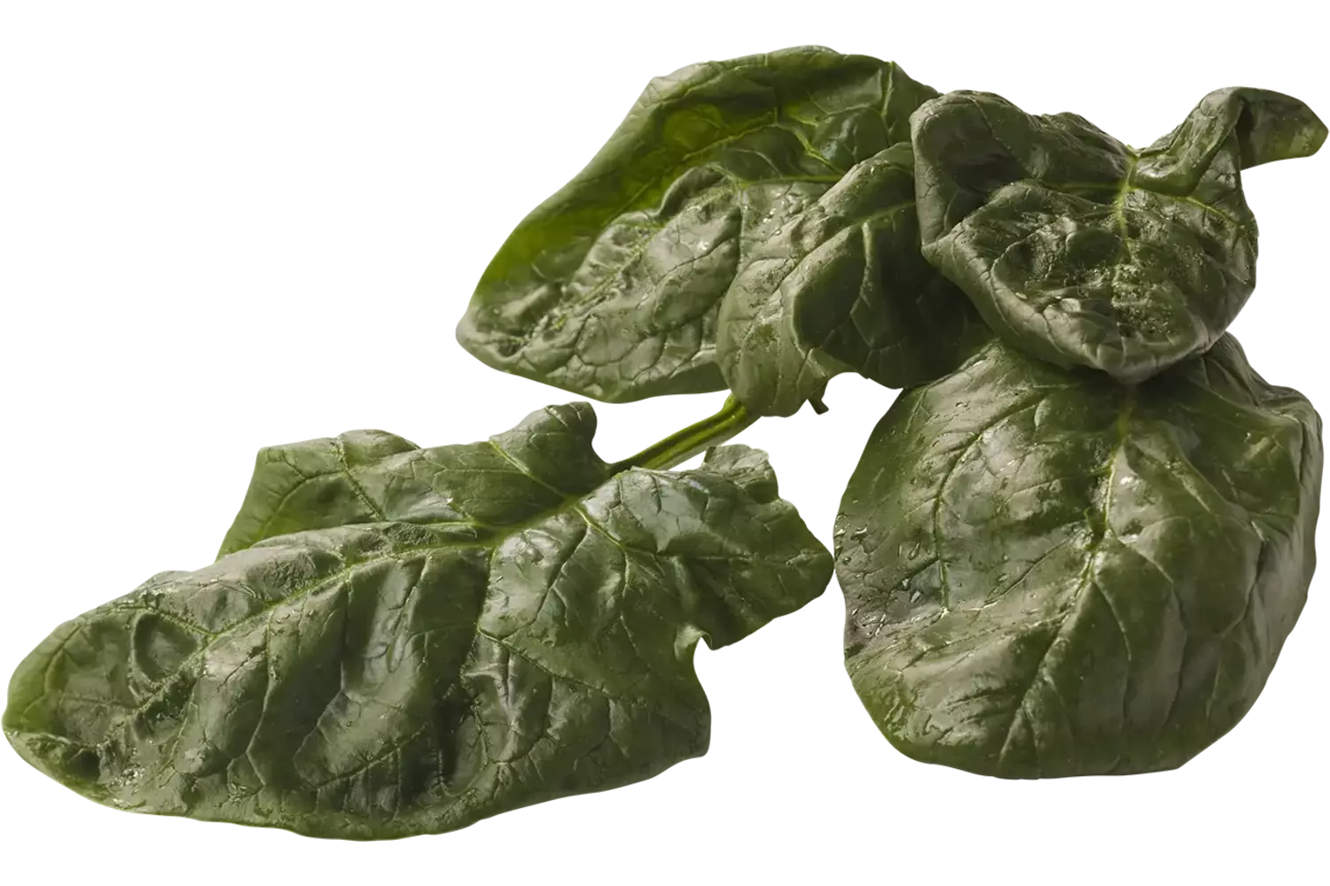Wild Spinach crade 4 kilo
