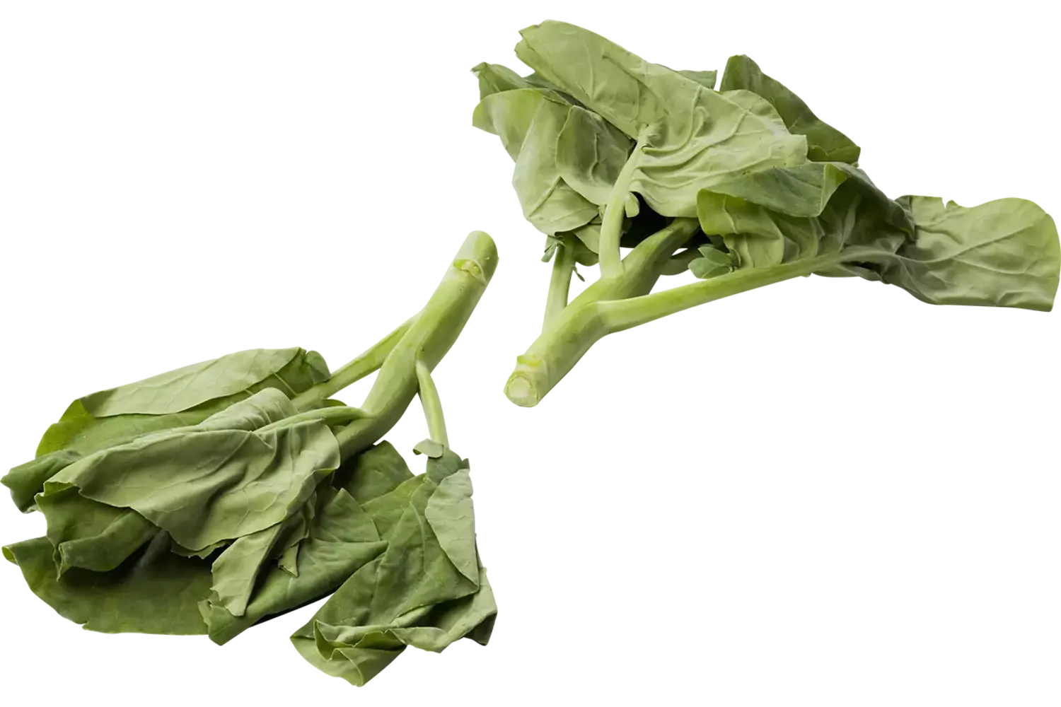 Kailan 250gr. stuk