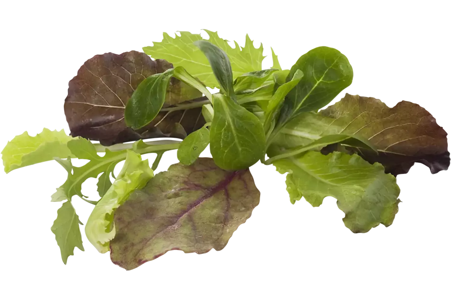 Mesclun crade 1 kilo