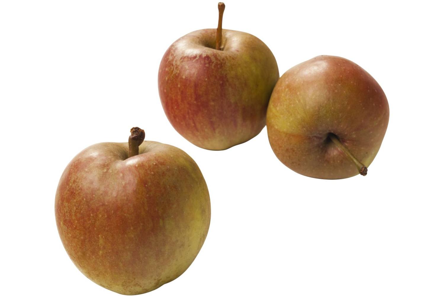 Cox appels kist 11 kilogram 1