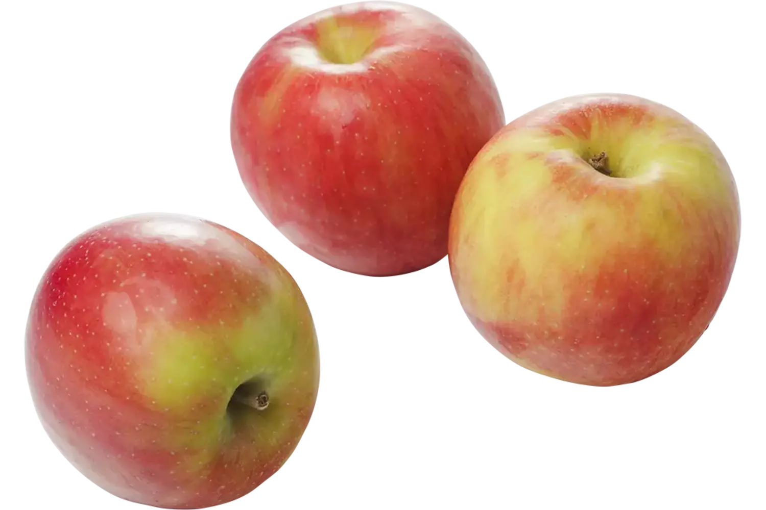 Elstar appels 75-80 kist 11 kilogram