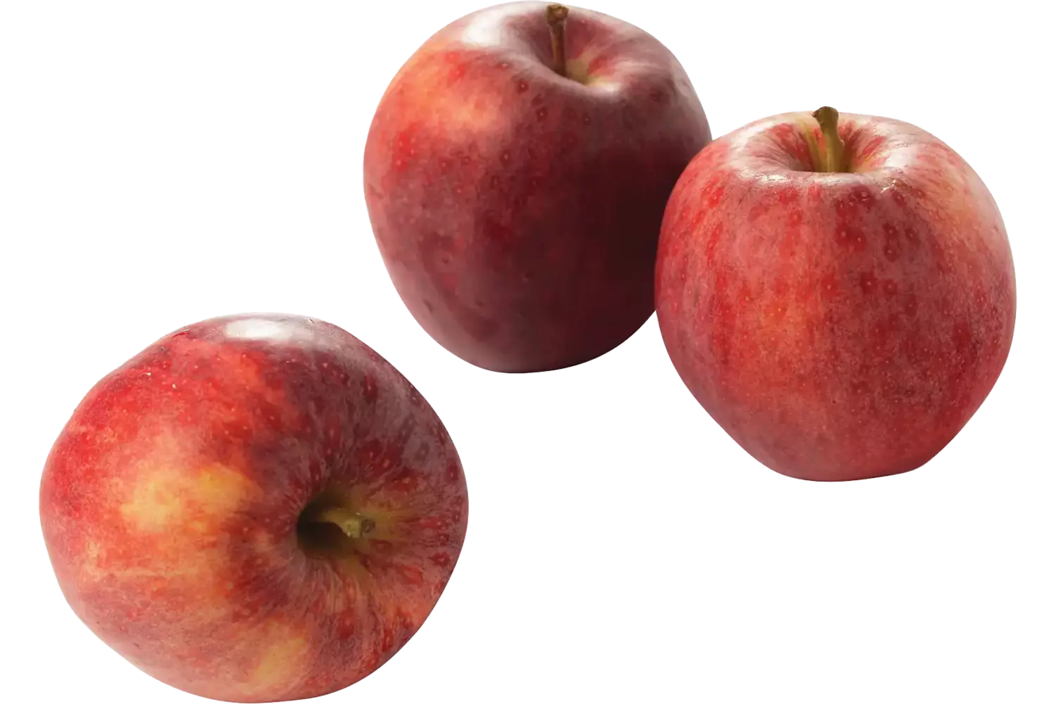 Fuji appels kist 18 kilogram