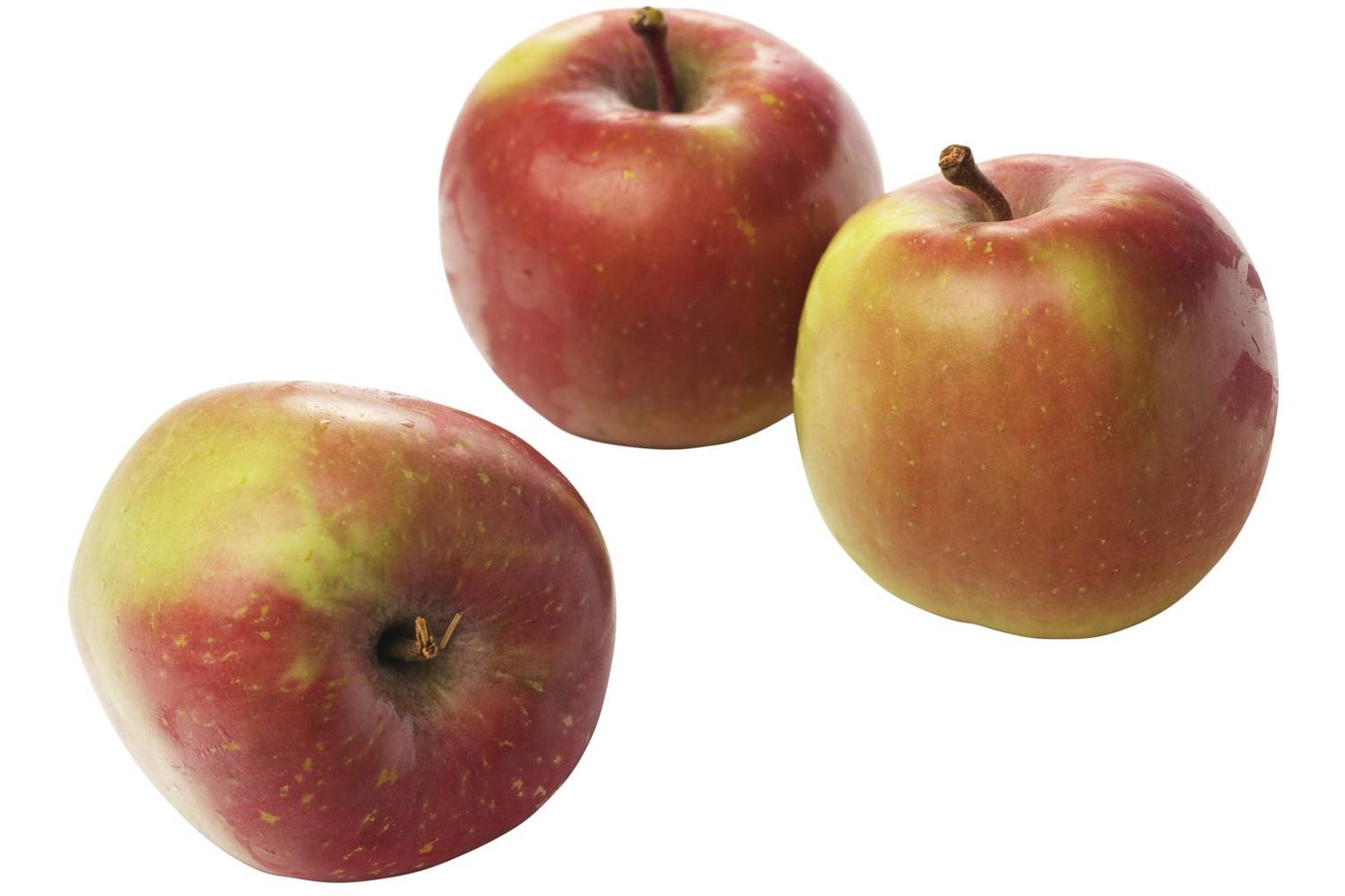 Jonagold appels 70-80 kist 11 kilogram 1