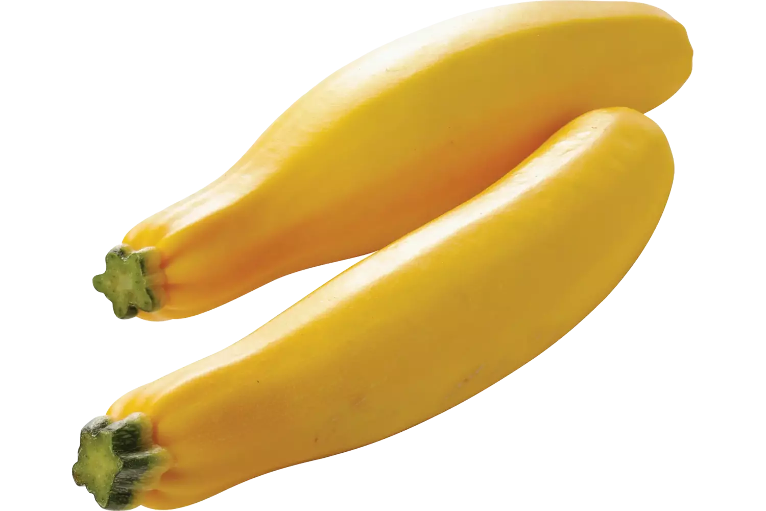 Courgettes geel kist 14 stuks