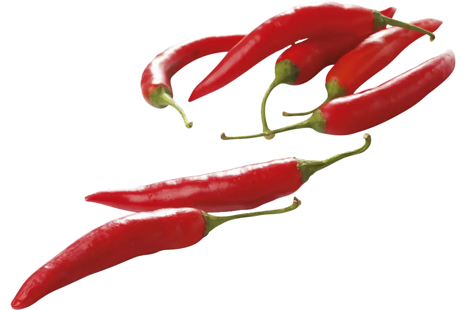 Pepers rood verpakt 100gr stuk
