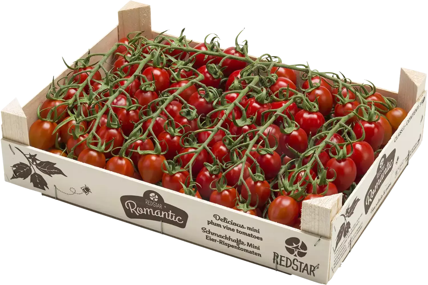 Romantic mini pruimtrostomaten kist 3 kilogram