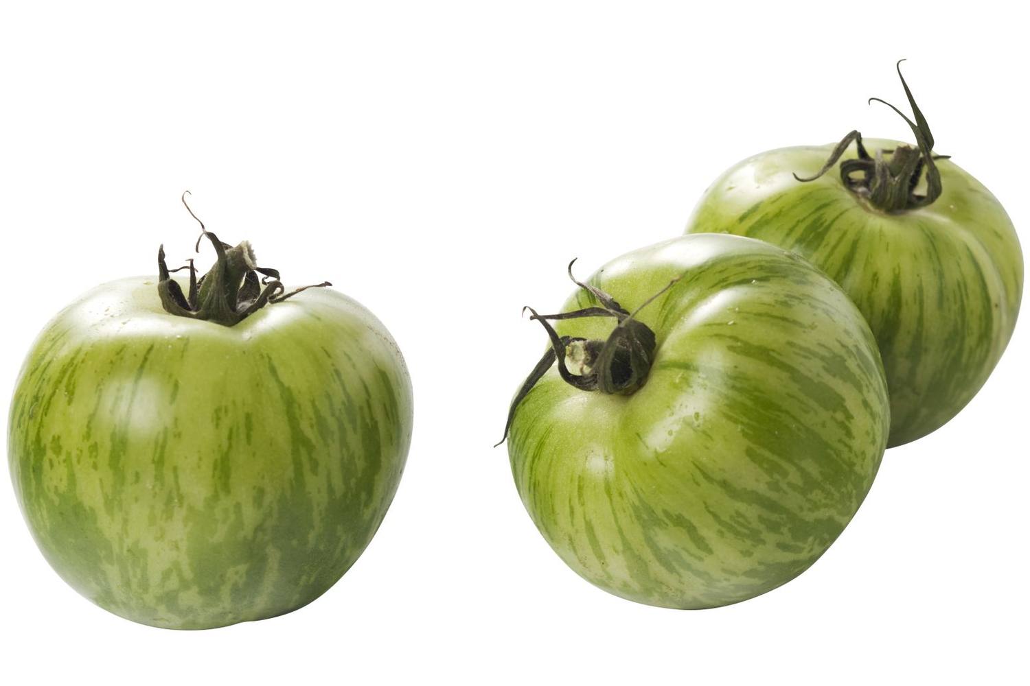 Tijger tomaten groen kist 3 kilogram 1