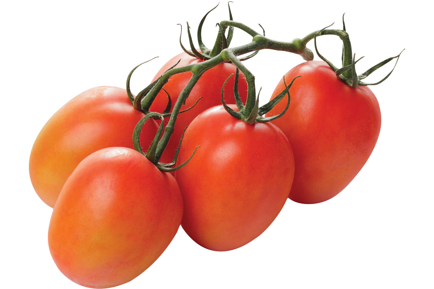 Pomodori tomaten kist 6 kilogram 1