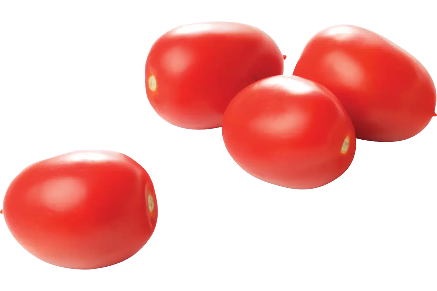 Tomato Intens crade 6 kilo