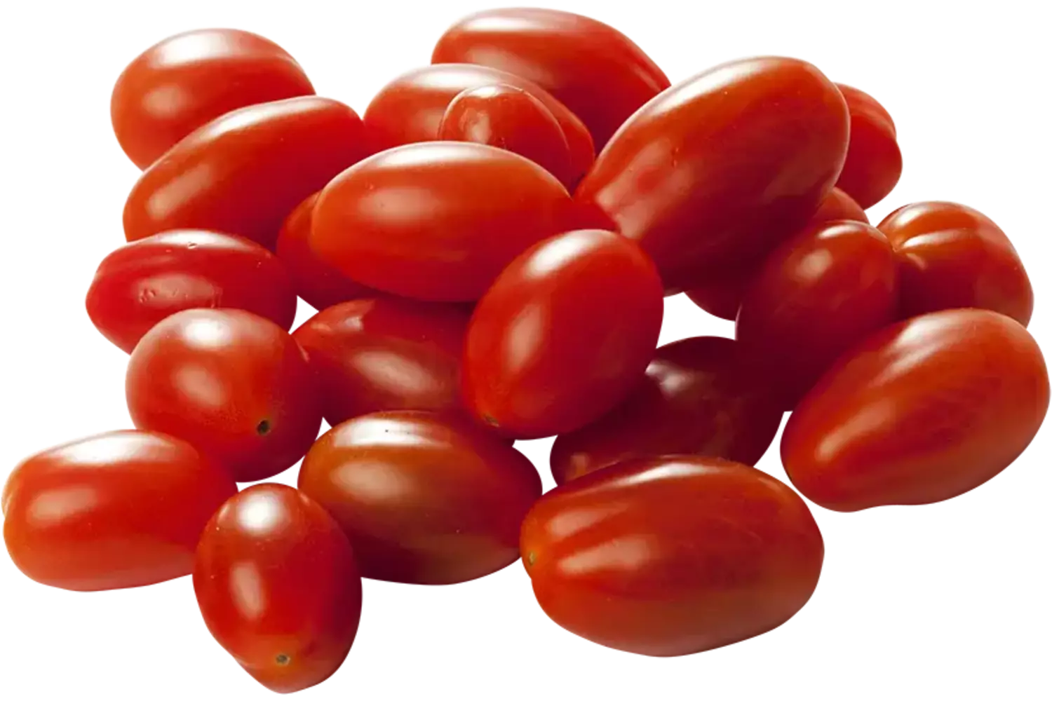 Santa cherry tomaat kist 4 kilogram