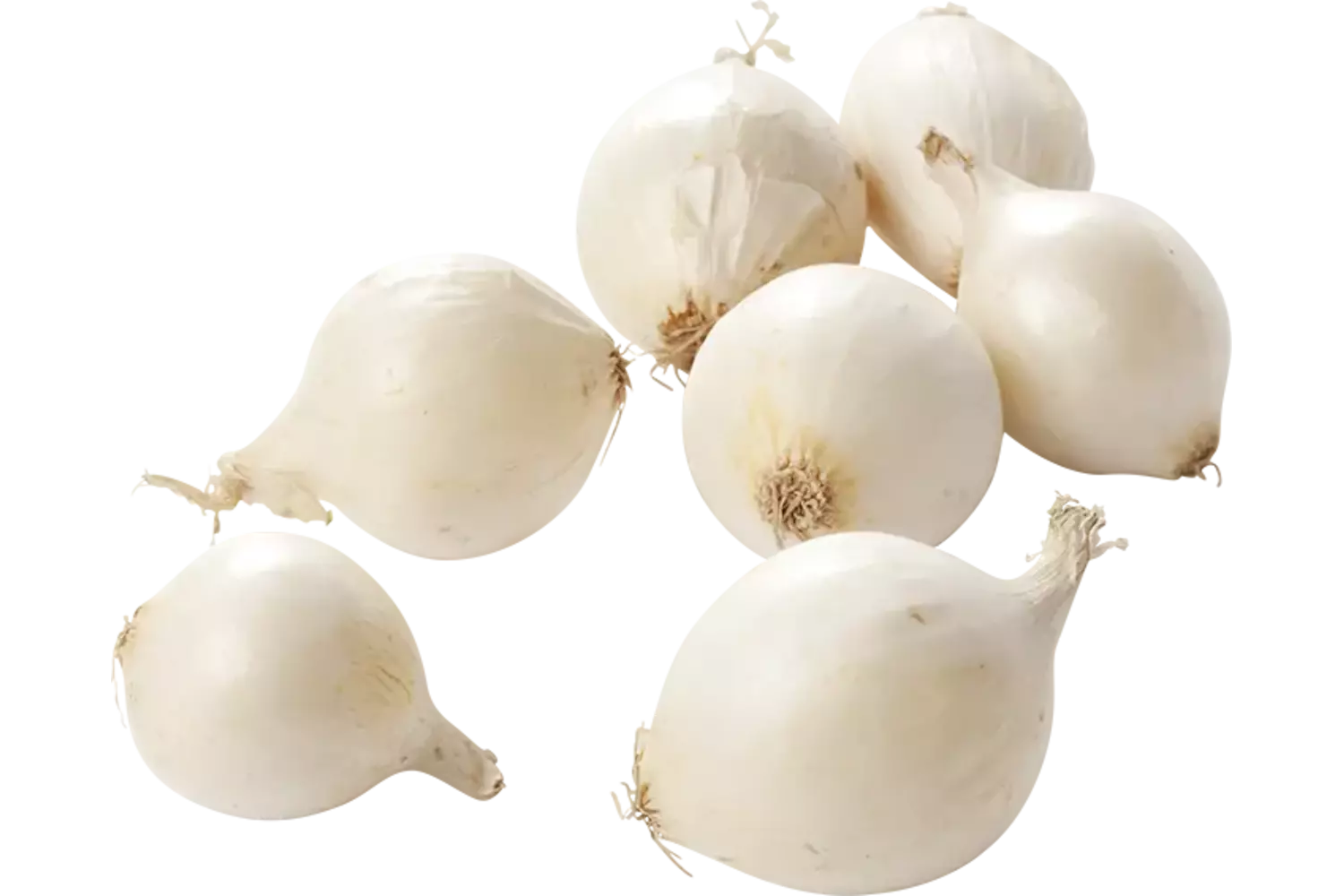 Zilveruien wit kist 5 kilogram