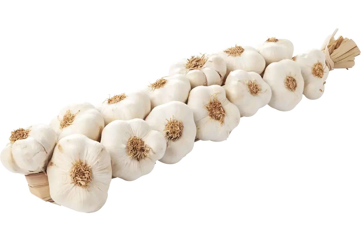 Knoflook streng 1kg stuk