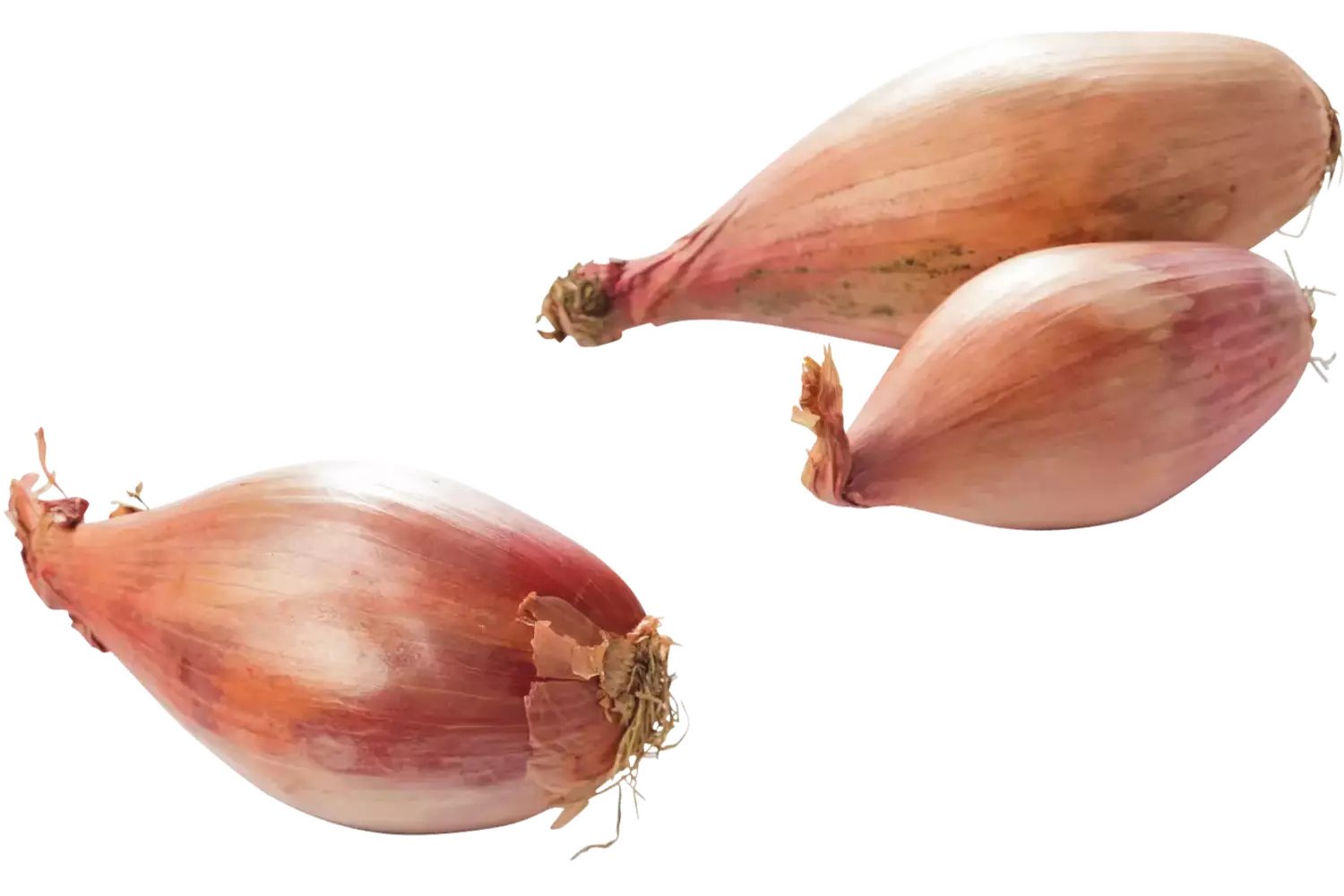 Banaan sjalotten verpakt 500gr