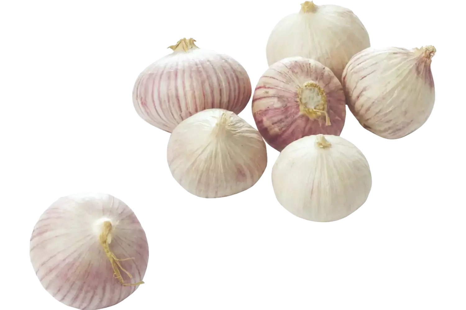 Knoflook solo 250gr stuk
