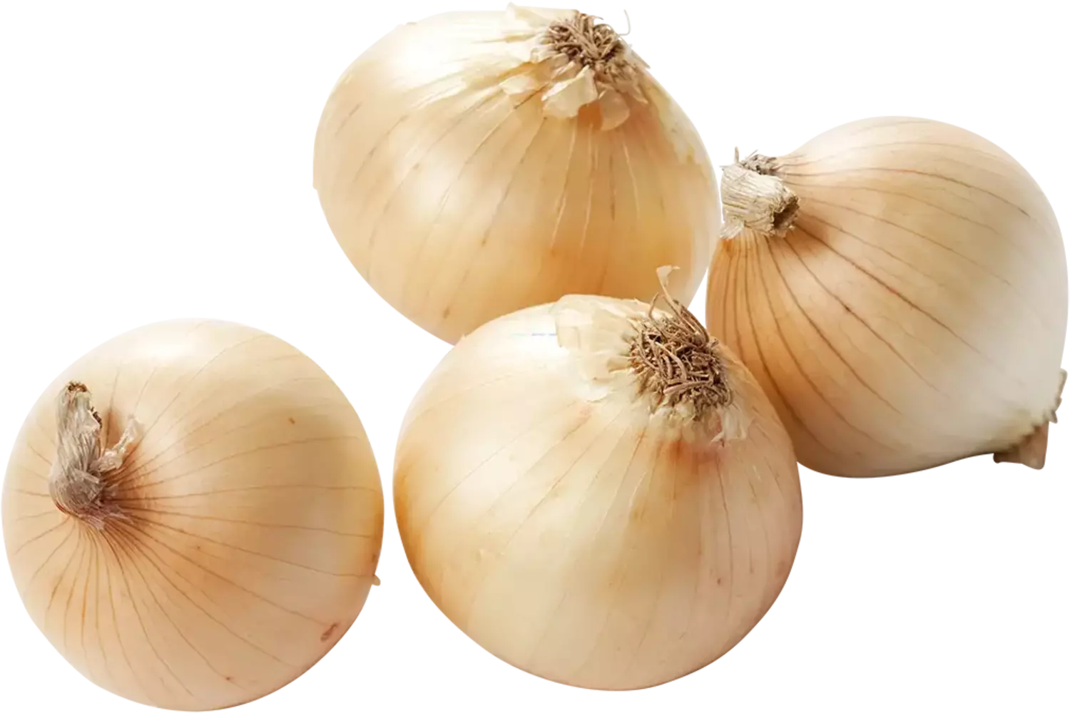 Oignons douces caisse 5kg