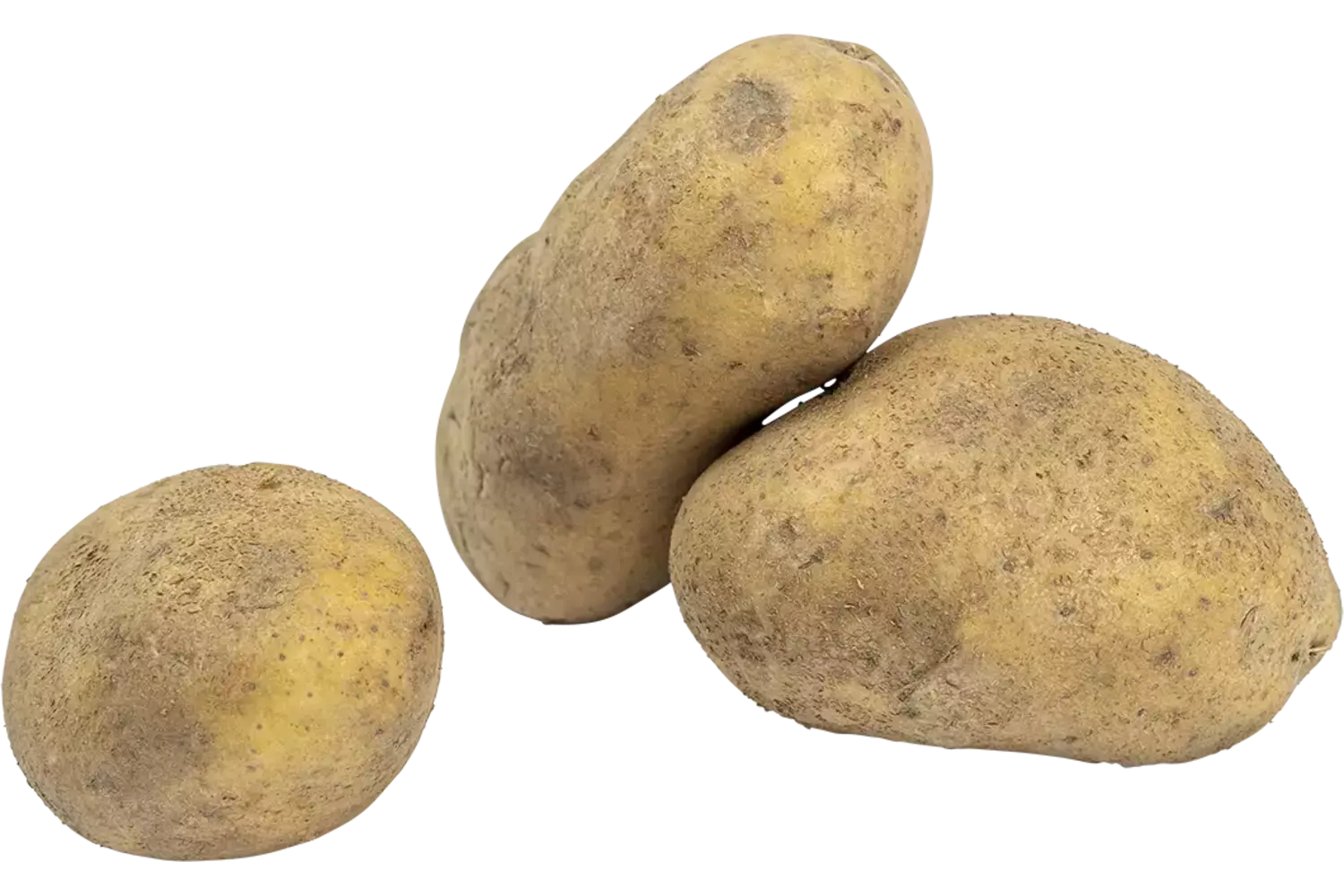 Bonken aardappelen gewassen kist 10 kilogram