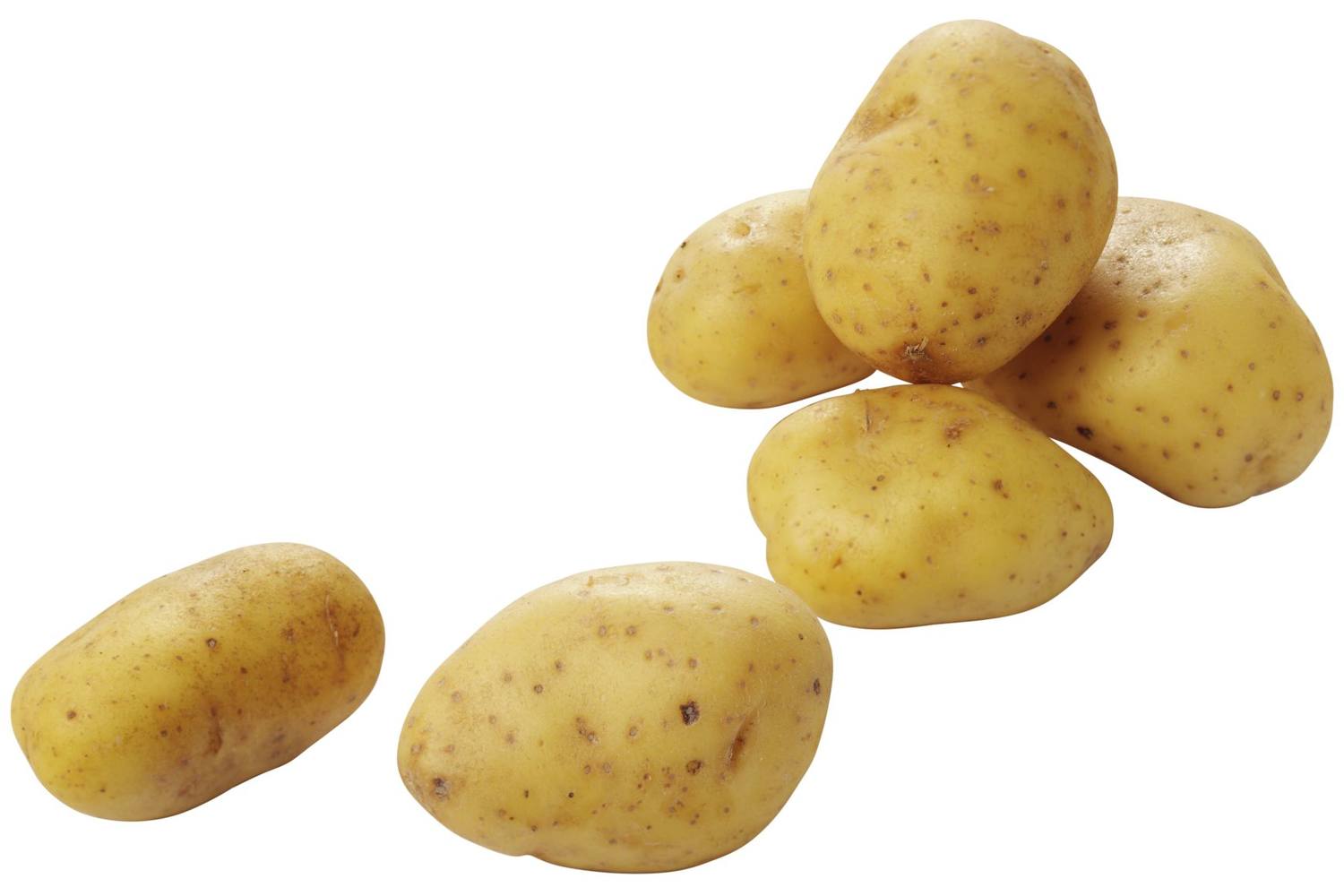 Frieslanders aardappelen 2,5kg kist 8 stuks 1