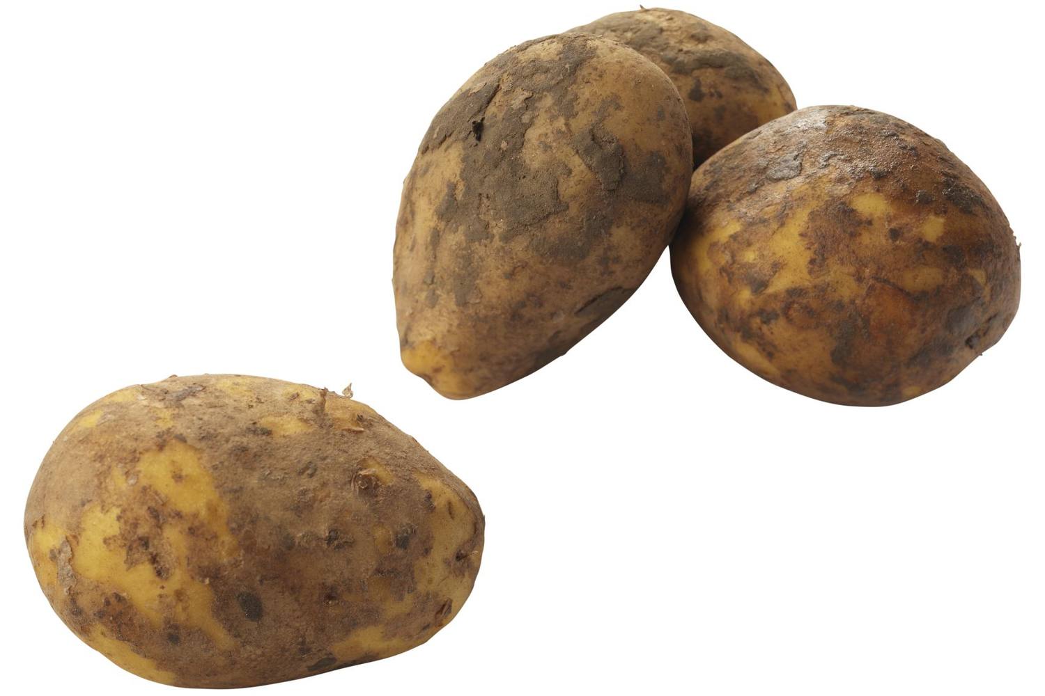Aardappel bonken geborsteld 2,5kg kist 8 stuks 1