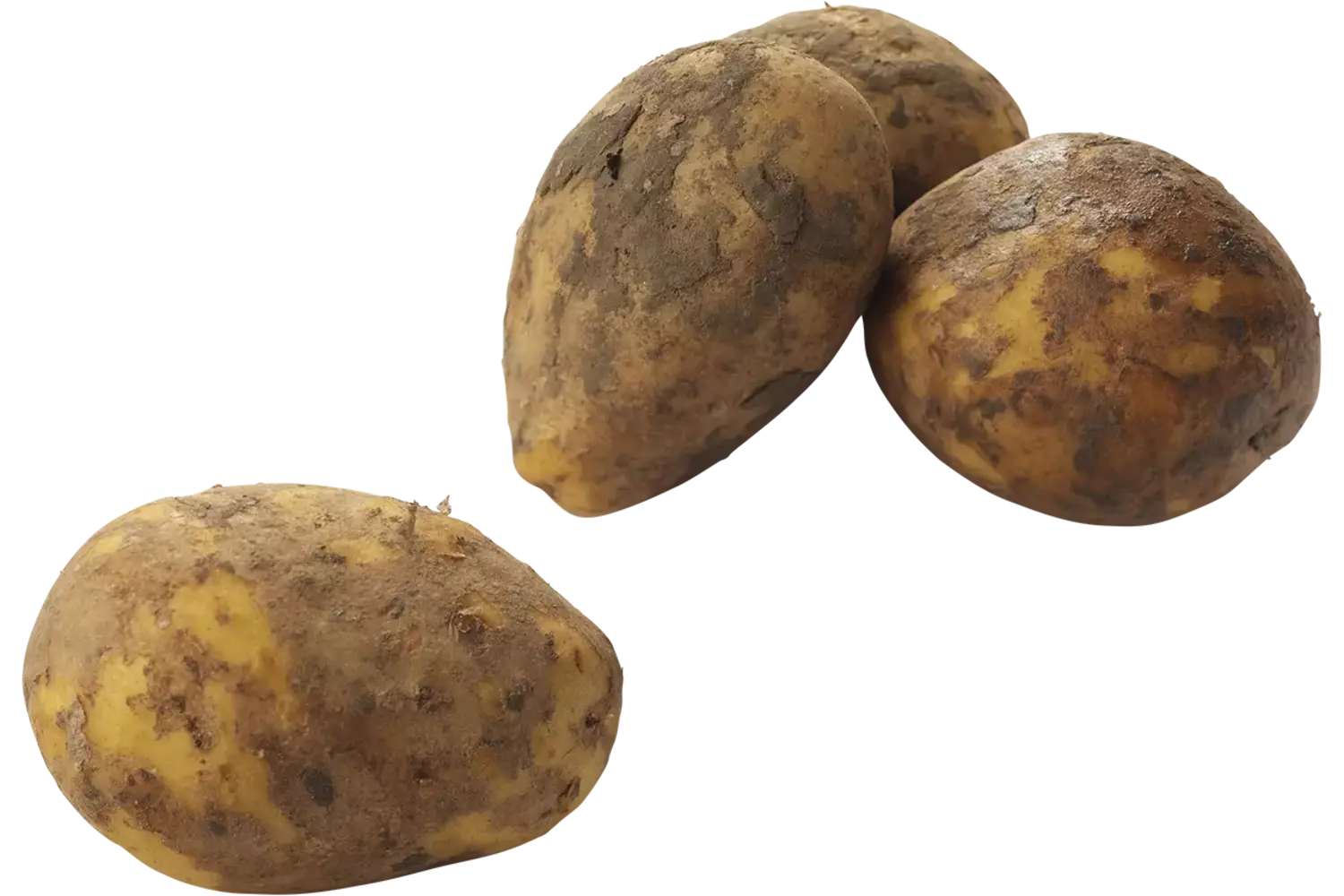 Aardappel bonken geborsteld 2,5kg stuk