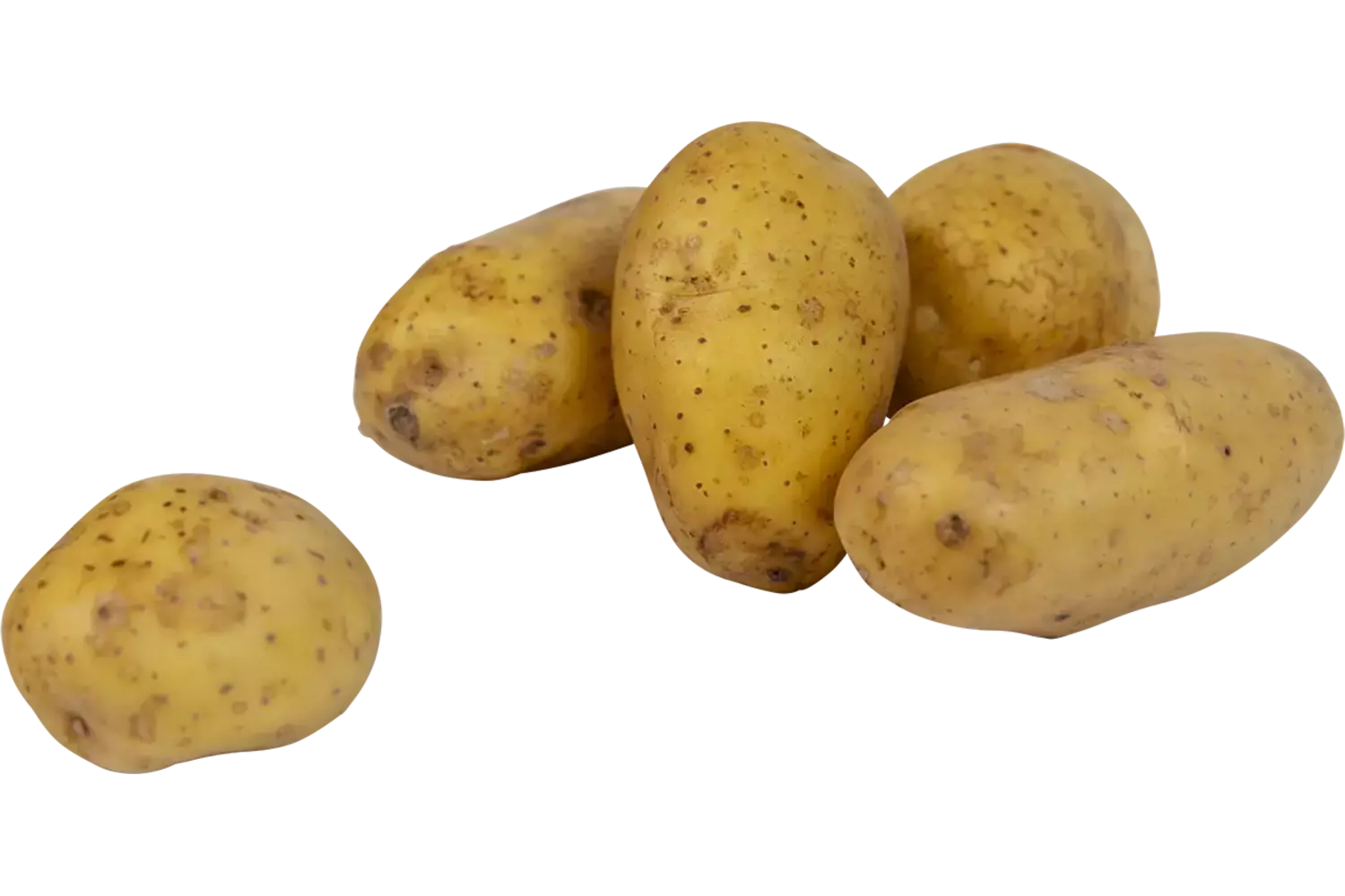 Kook aardappelen vastkokend 1kg kist 10 stuks