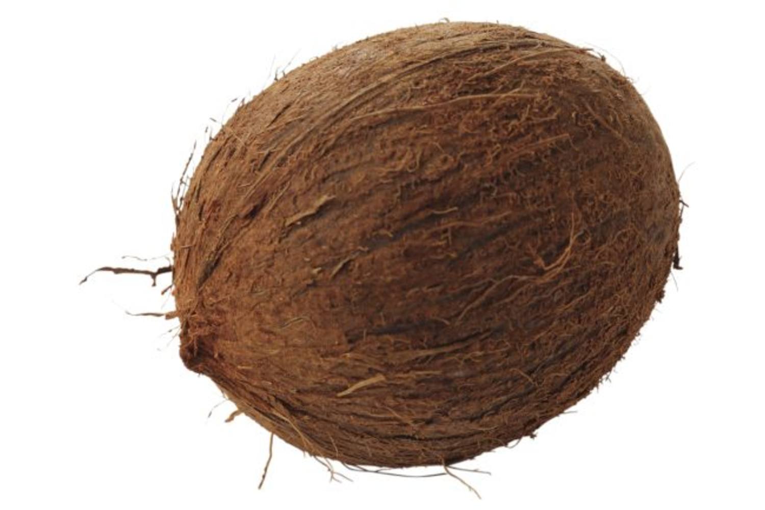 Kokosnoot stuk 1