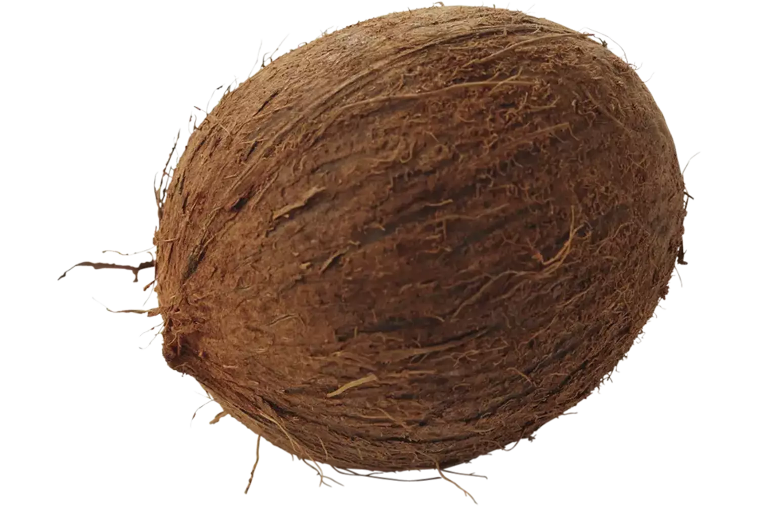 Noix de coco caisse 25pc