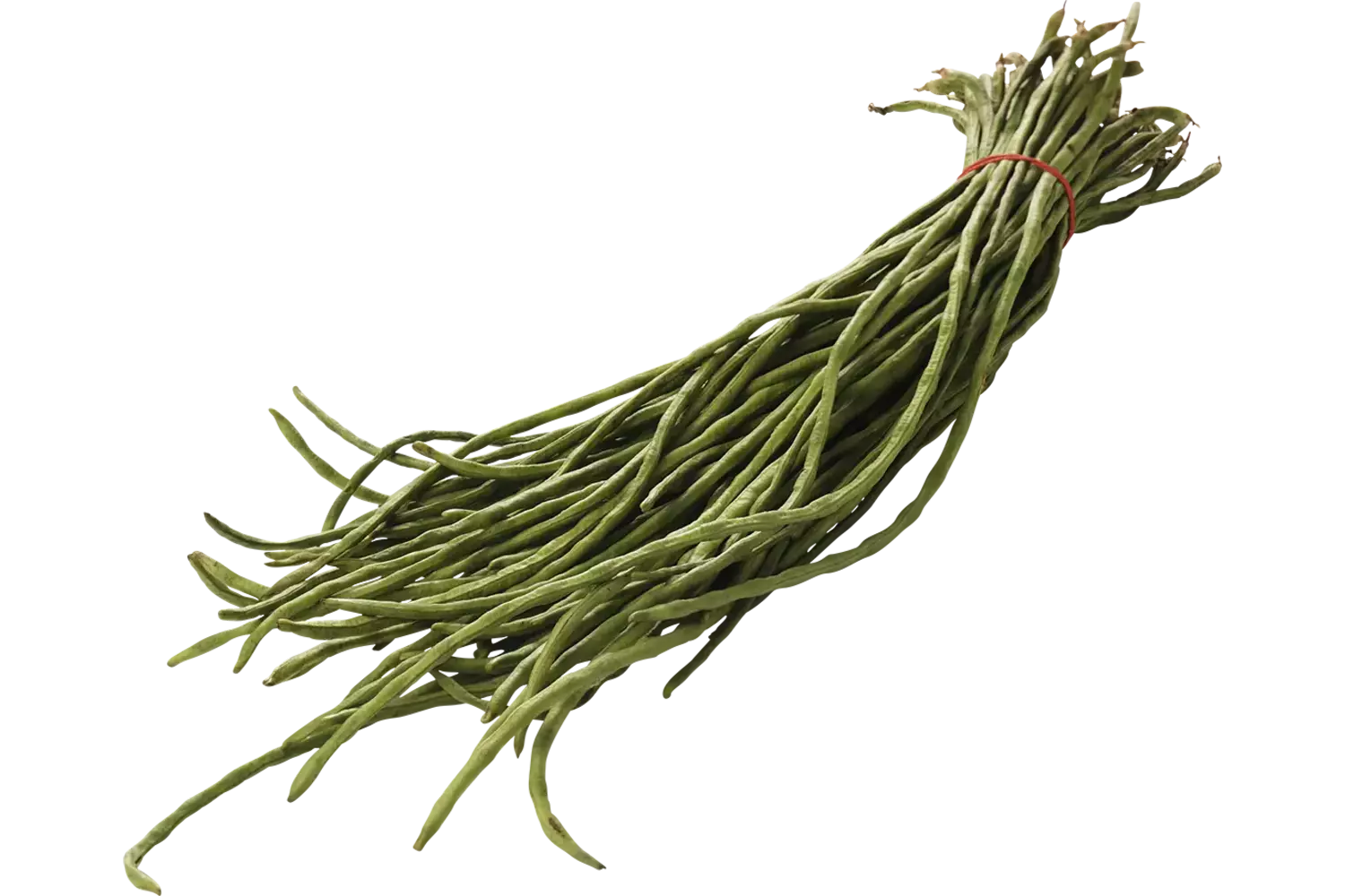 Kouseband verpakt 1kg