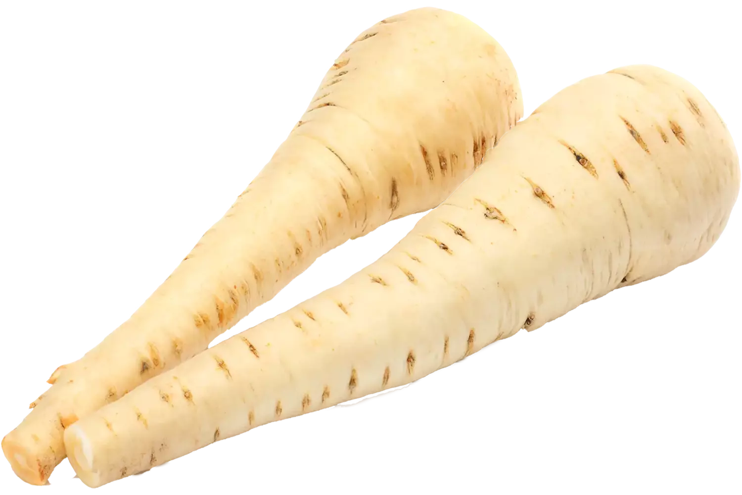 Pastinaken kist 5 kilogram
