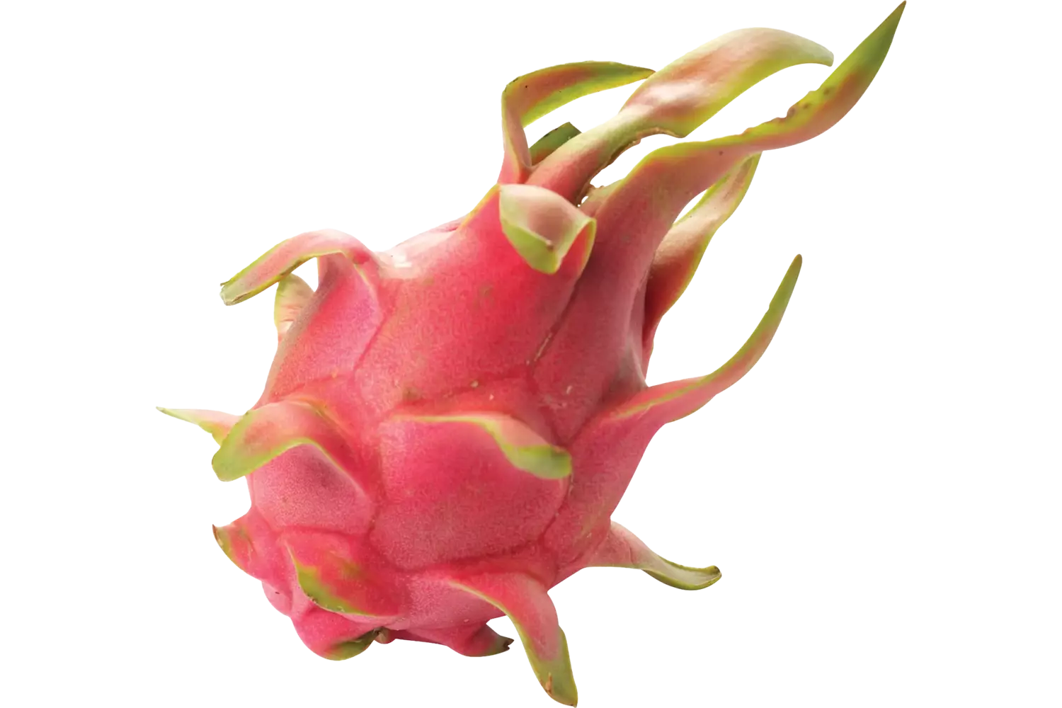 Pitahaya red crade 10 pieces