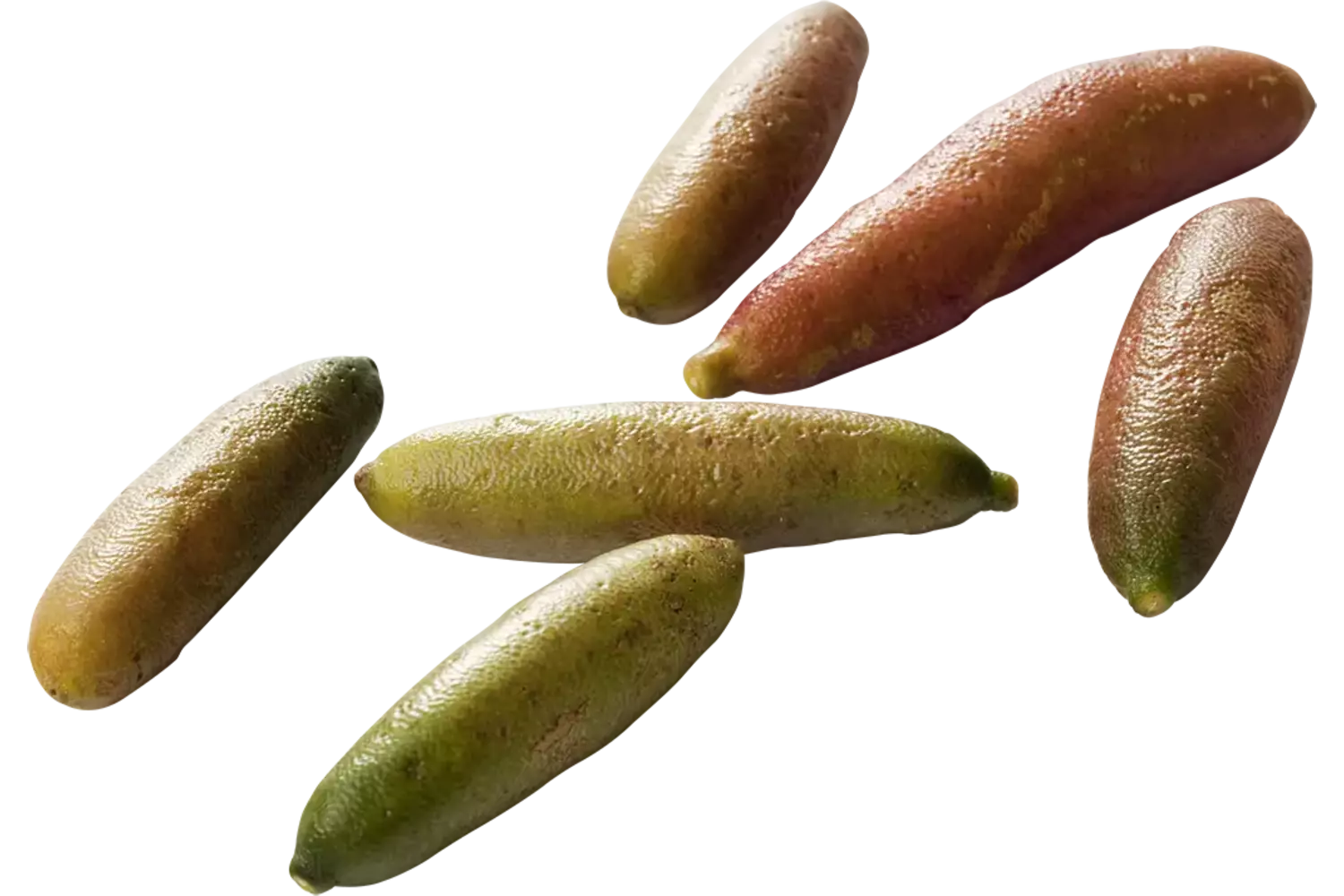 Finger limes verpakt 100gr stuk