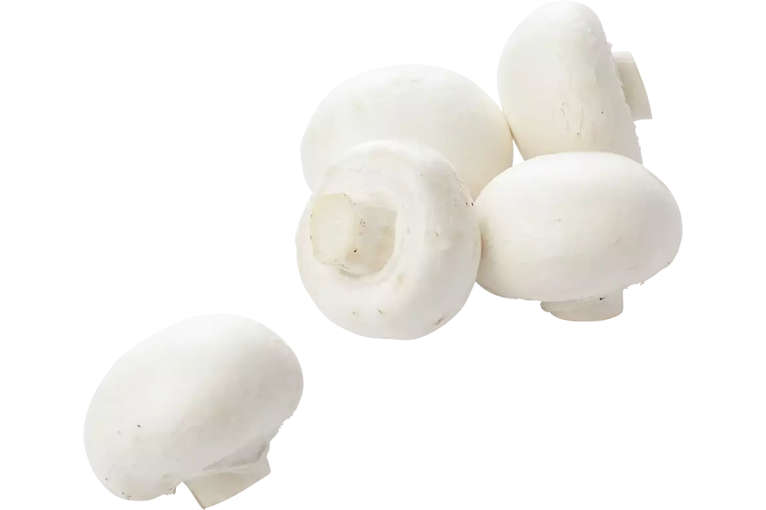Champignons fijn 250gr kist 11 stuks