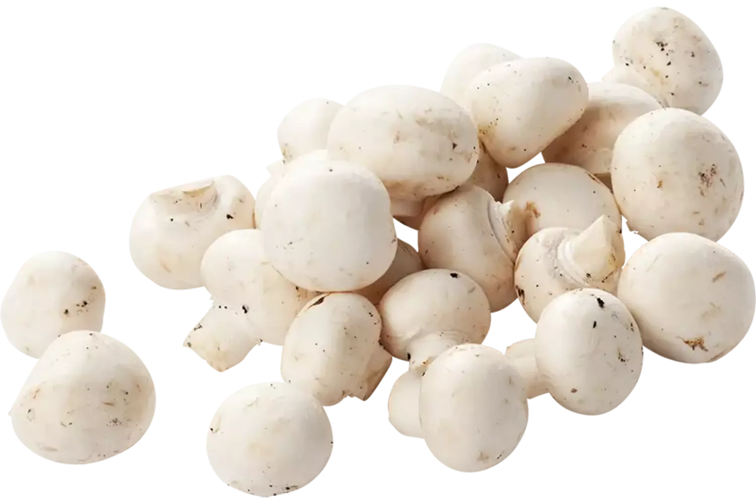 Mini champignons 500g caisse 6pc