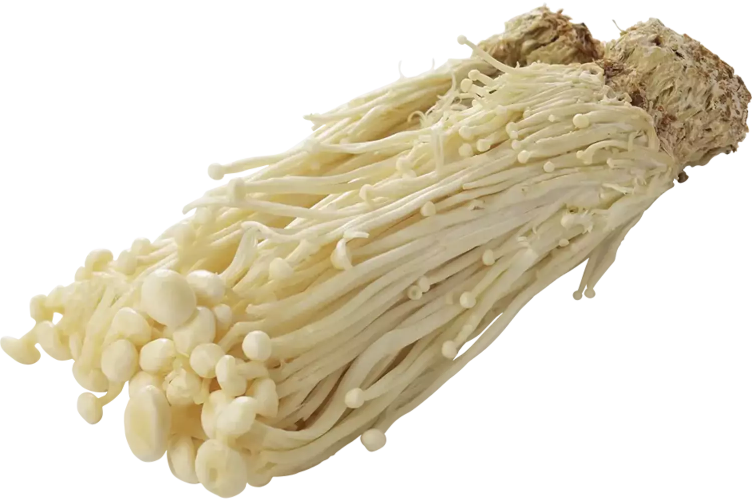 Enoki paddenstoelen 100gr stuk