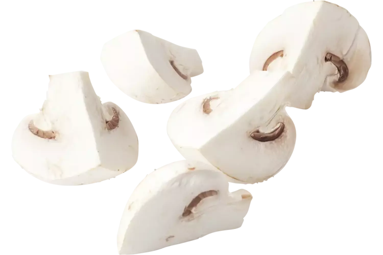 Champignons kwarten los kist 4 kilogram