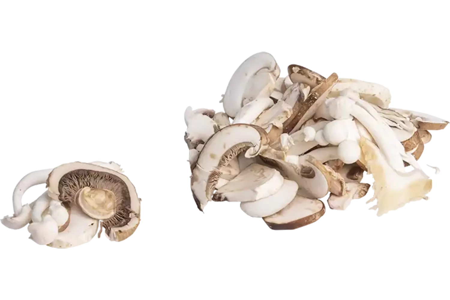 Paddenstoelenmix gesneden 1kg stuk