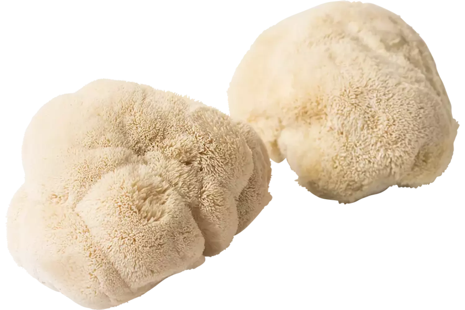 Pom Pom Blanc caisse 1kg