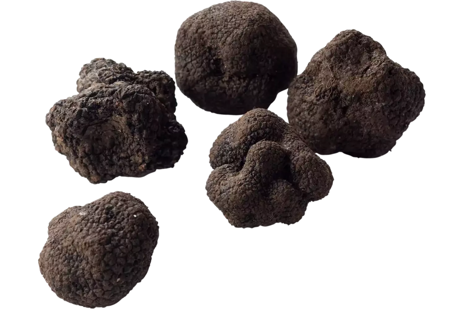 Zomertruffel tuber aestivum 100gr kist 10 stuks