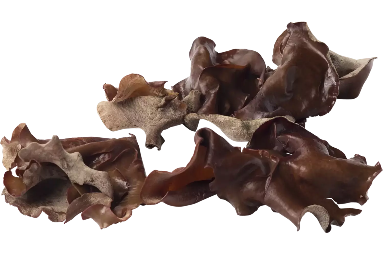 Oreille de Juda caisse 1kg